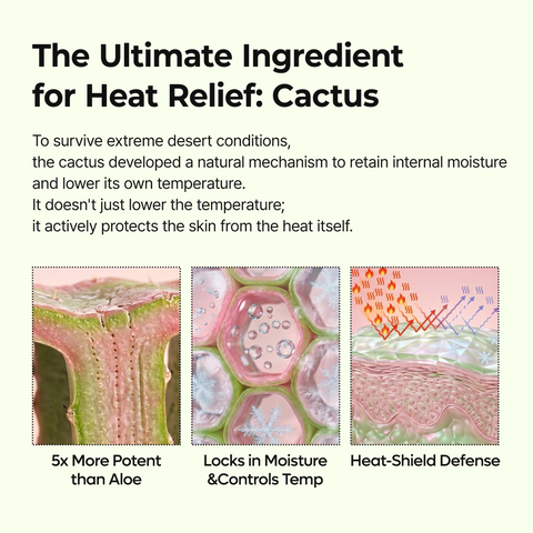 CACTOX Pore Relief Multi Balm