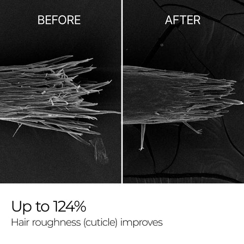 Bondex Clinic Protein Treatment